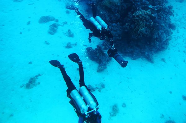 Faire de la plongée PADI dans le Var : Voici le guide